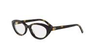 DIOR DIORGLOWO B1I 2000 53-16 Escama