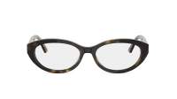 DIOR DIORGLOWO B1I 2000 53-16 Schildpad