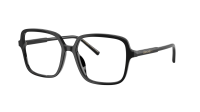 Dolce & Gabbana DG3442 501 55-16 Black