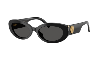 Sunglasses Dolce & Gabbana DG4537 501/87 53-19 Black