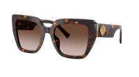 Dolce & Gabbana DG4538 502/13 54-20 Havana