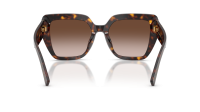 Dolce & Gabbana DG4538 502/13 54-20 Havana