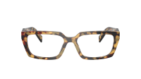 Prada PR D05V 24L101 55-17 Medium Havana