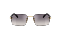 Prada PR D55S ZVN60W 55-19 Pale Gold