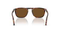 Persol PO3391S 24/57 55-19 Havana