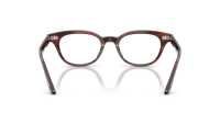 Oliver peoples Madelon OV5618U 1818 49-19 Morado tortoise