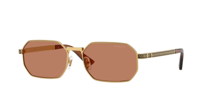 Versace VE2297 100273 54-16 Goud