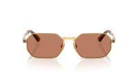 Versace VE2297 100273 54-16 Oro