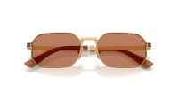 Versace VE2297 100273 54-16 Goud
