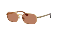 Versace VE2297 100273 54-16 Goud
