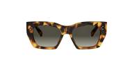 CELINE 3 dots CL40342I 53F 53-18 Escama