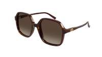VALENTINO V logo VG0018S 002 56-18 Havane