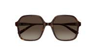 VALENTINO V logo VG0018S 002 56-18 Havanna