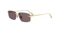 DIOR CDIOR S4U B0A0 59-14 Goud