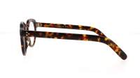 Moscot Jared GAVOLT 45 TORTOISE DEMO Żółw