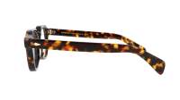Moscot Dolt DOLT 46 TORTOISE DEMO Écaille