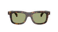 Moncler Claro ME6004 300282 51-21 Brown Tortoise