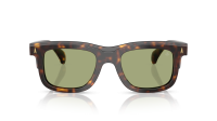 Moncler Claro ME6004 300282 51-21 Brown Tortoise