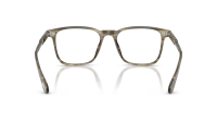Oliver peoples Tillen OV5603U 1735 53-18 Soft Olive Bark