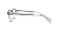Moscot Dolt DOLT 46 LIGHT GREY DEMO Trasparente