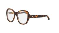 CELINE Mini triomphe CL50179I 053 55-17 Tartaruga