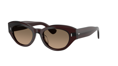 Sunglasses Oliver peoples Lerrue OV5615SU 1817GN 50-19 Dark Sienna