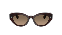 Oliver peoples Lerrue OV5615SU 1817GN 50-19 Dark Sienna