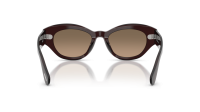 Oliver peoples Lerrue OV5615SU 1817GN 50-19 Dark Sienna