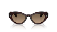 Oliver peoples Lerrue OV5615SU 1817GN 50-19 Dark Sienna