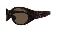 Balenciaga Everyday BB0369SK 002 55-20 Havana