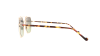 Moscot MIZER SUN 54 FLESH TORTOISE