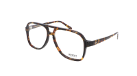 Moscot SHEISTER 57 TORTOISE DEMO