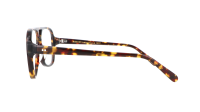 Moscot SHEISTER 57 TORTOISE DEMO