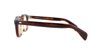 Moscot MEKLER 46 TOBACCO DEMO
