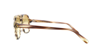 Moscot SHEISTER SUN 57 BAMBOO CHESTNUT