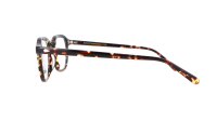 Moscot VANTZ 47 DARK HAVANA DEMO
