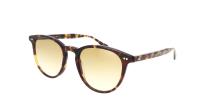 Moscot JARED SUN 50 SPOT TORTOISE