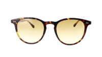 Moscot JARED SUN 50 SPOT TORTOISE