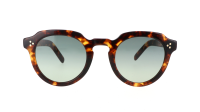 Moscot Gavolt GAVOLT SUN 48 CLASSIC HAVANA Tartaruga