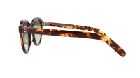 Moscot Gavolt GAVOLT SUN 48 CLASSIC HAVANA Żółw