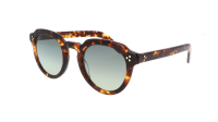 Moscot Gavolt GAVOLT SUN 48 CLASSIC HAVANA Żółw
