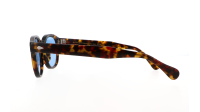 Moscot Lemtosh LEMTOSH SUN TORTOISE CELEBRITY BLUE Tartaruga