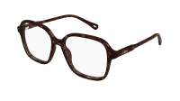 Chloé CH0313O 002 54-16 Schildpad