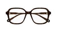 Chloé CH0313O 002 54-16 Écaille