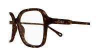 Chloé CH0313O 002 54-16 Tortuga