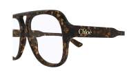 Chloé Aviateur CH0339O 002 56-15 Havana