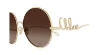 Chloé Iconic CH0329S 002 60-19 Gold