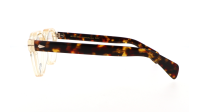 Moscot Dolt DOLT 46 FLESH TORTOISE DEMO Transparente