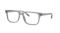Emporio Armani EA3250U 6202 54-17 Gris Transparent