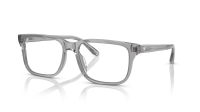 Emporio Armani EA3250U 6202 54-17 Gris Transparent